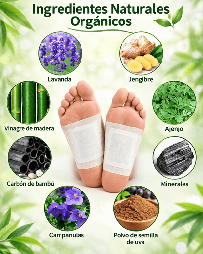 Parches Kinoki para pies — tu ritual de descanso nocturno