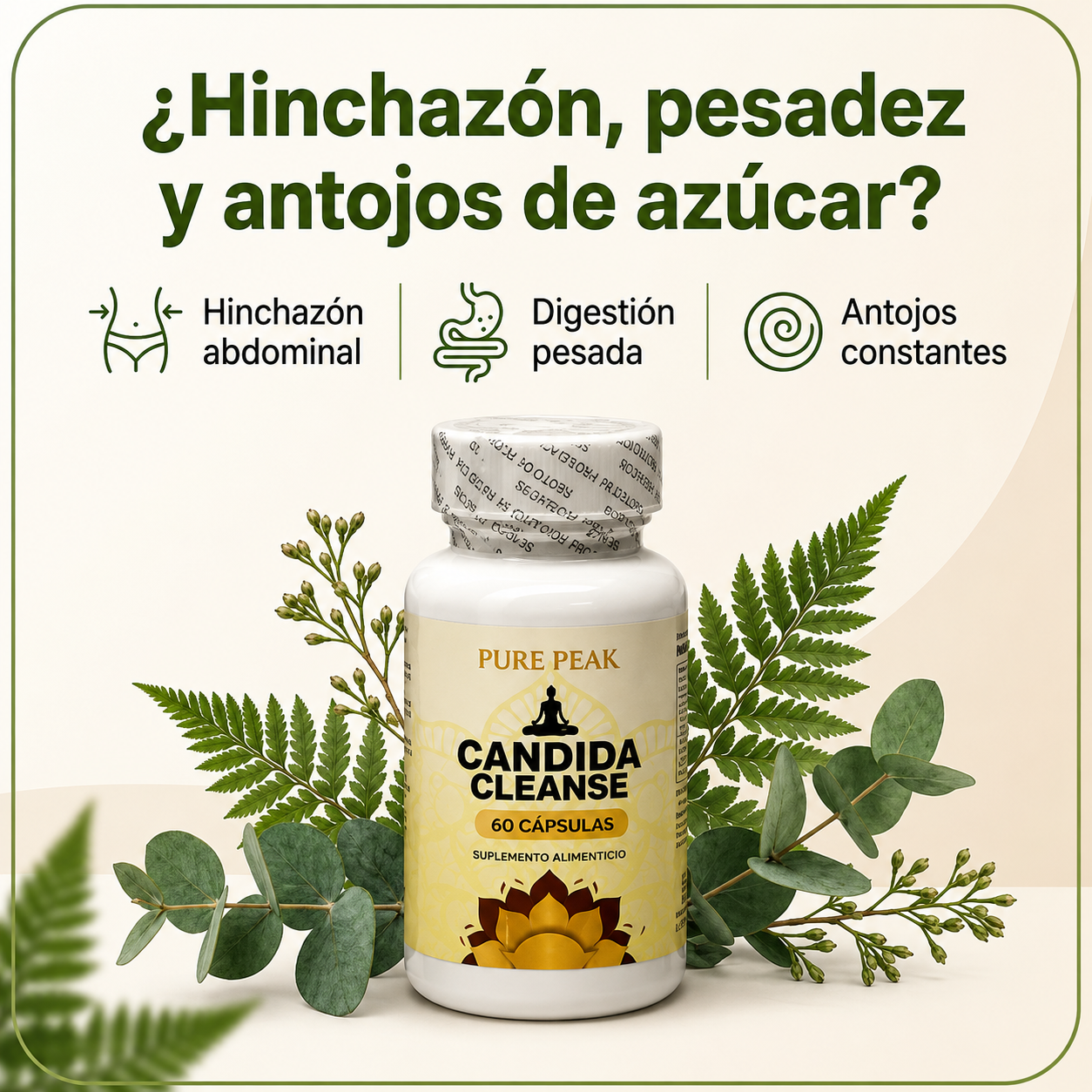 CANDIDA CLEANSE original