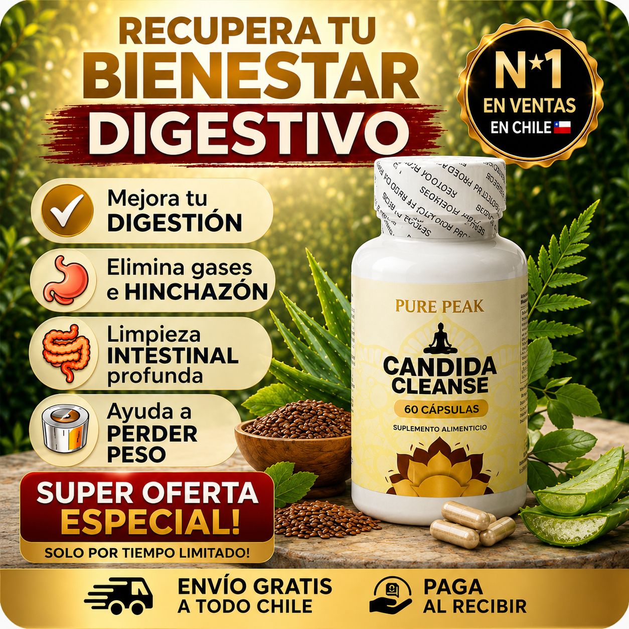 CANDIDA CLEANSE original